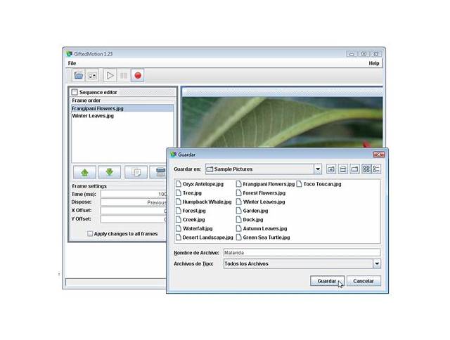 GiftedMotion (Windows) software []